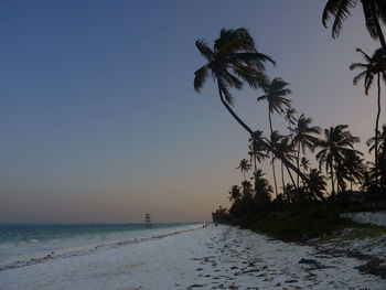 Scenic view of beach against clear sky at sunset