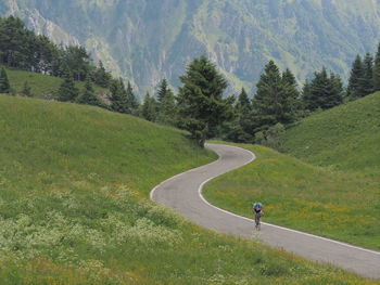 Scenic view of mountain road amidst trees in forest