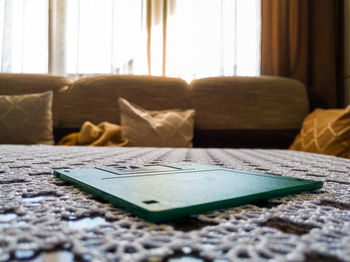 Close-up of messy lying down on sofa at home