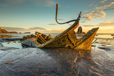 Driftwood on beach against sky during sunset