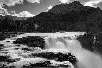 Beautiful bow lake on a sunny day, icefield parkway, banff national park, alberta, canada