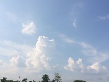 Low angle view of trees against sky