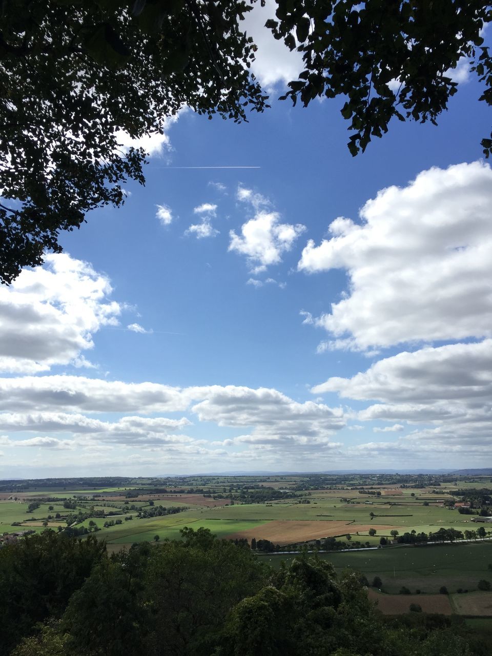 tree, sky, cloud - sky, scenics, tranquil scene, tranquility, beauty in nature, cloud, nature, landscape, road, cloudy, sunlight, outdoors, day, no people, growth, idyllic, transportation, blue