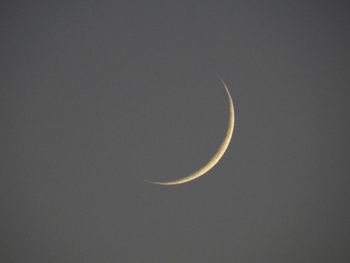 crescent