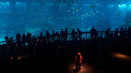 Silhouette people in aquarium