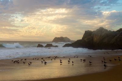 Scenic view of sea against sky during sunset