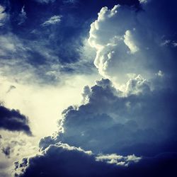 Low angle view of trees against sky