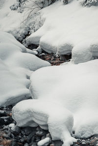 Snow covered land