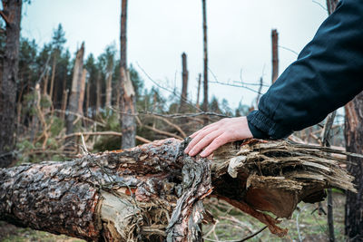 Midsection of man holding fishing net on land