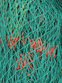 Full frame shot of leaves