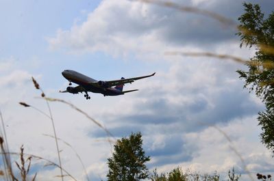 Low angle view of airplane flying against sky