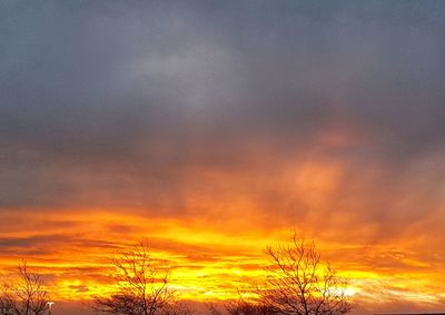 Low angle view of silhouette trees against dramatic sky