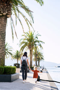 Woman with umbrella walking on palm tree