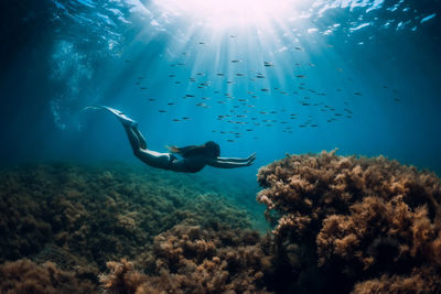 Man swimming in sea