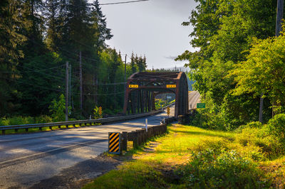 Empty road amidst trees