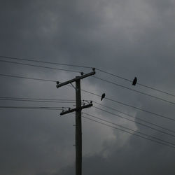 Low angle view of silhouette birds perching on cable against sky