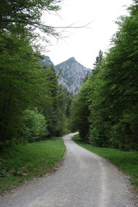 Road amidst trees and plants against sky