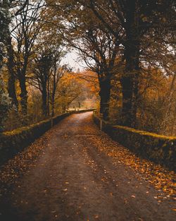 Footpath amidst trees in forest during autumn