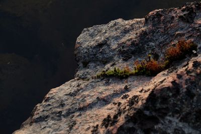 Close-up of rock formation against mountain