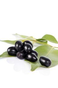 Close-up of grapes in plate against white background