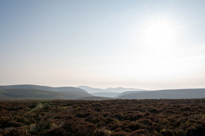 Scenic view of landscape against sky