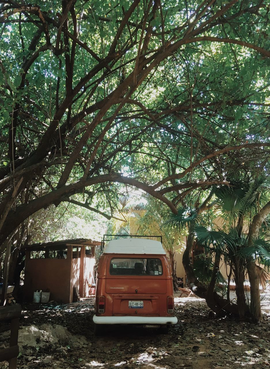 VIEW OF ABANDONED VEHICLE ON TREE