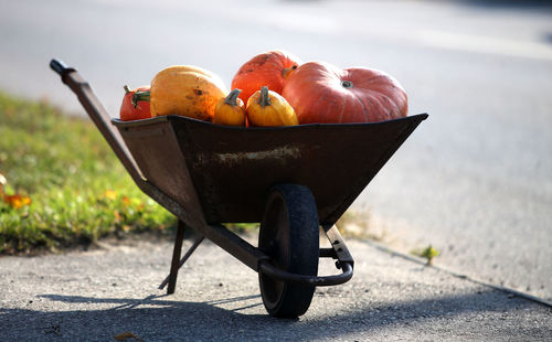 Close-up of orange fruit on road