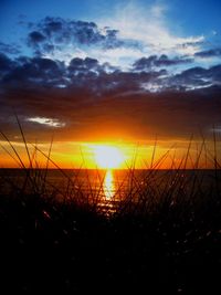 Scenic view of sunset over sea
