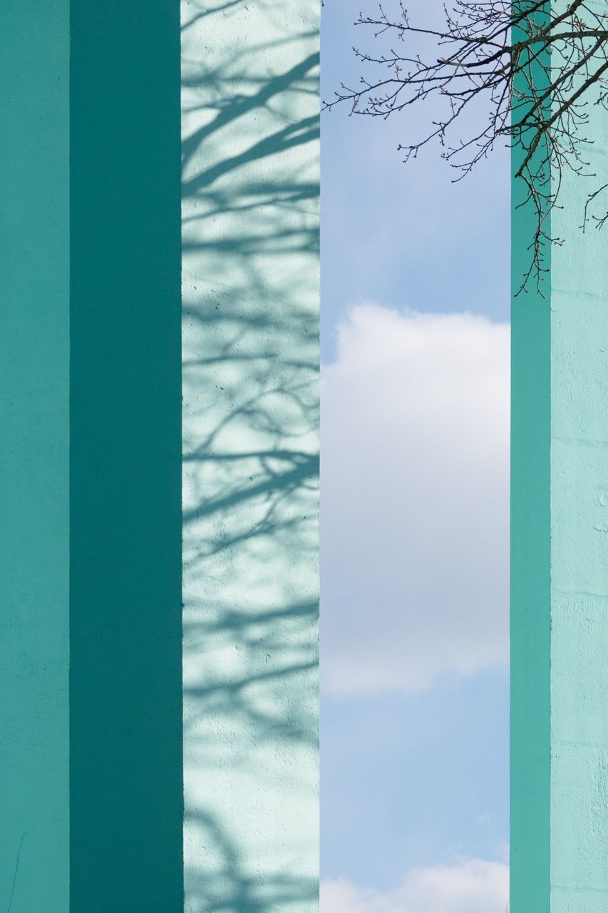 no people, day, architecture, close-up, nature, window, built structure, green color, outdoors, sky, glass - material, pattern, focus on foreground, wall - building feature, tree, full frame, building exterior, transparent, cloud - sky, backgrounds, architectural column, digital composite, turquoise colored