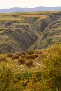 View of countryside landscape against the sky