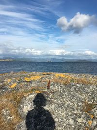 Rear view of person on rock at beach against sky