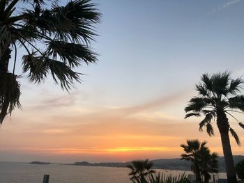 Silhouette palm trees on beach against sky during sunset