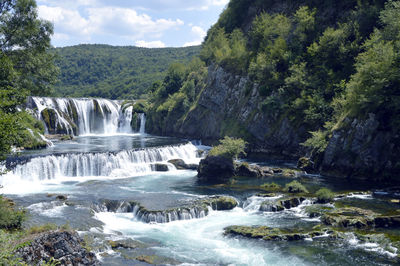 Low angle view of waterfall in forest