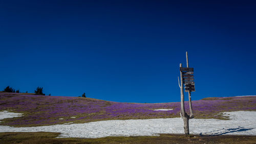 Low angle view of wind turbines on field against clear blue sky