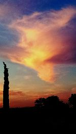 Silhouette of trees at sunset