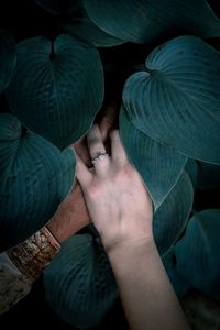 Cropped hands of man and woman amidst leafs