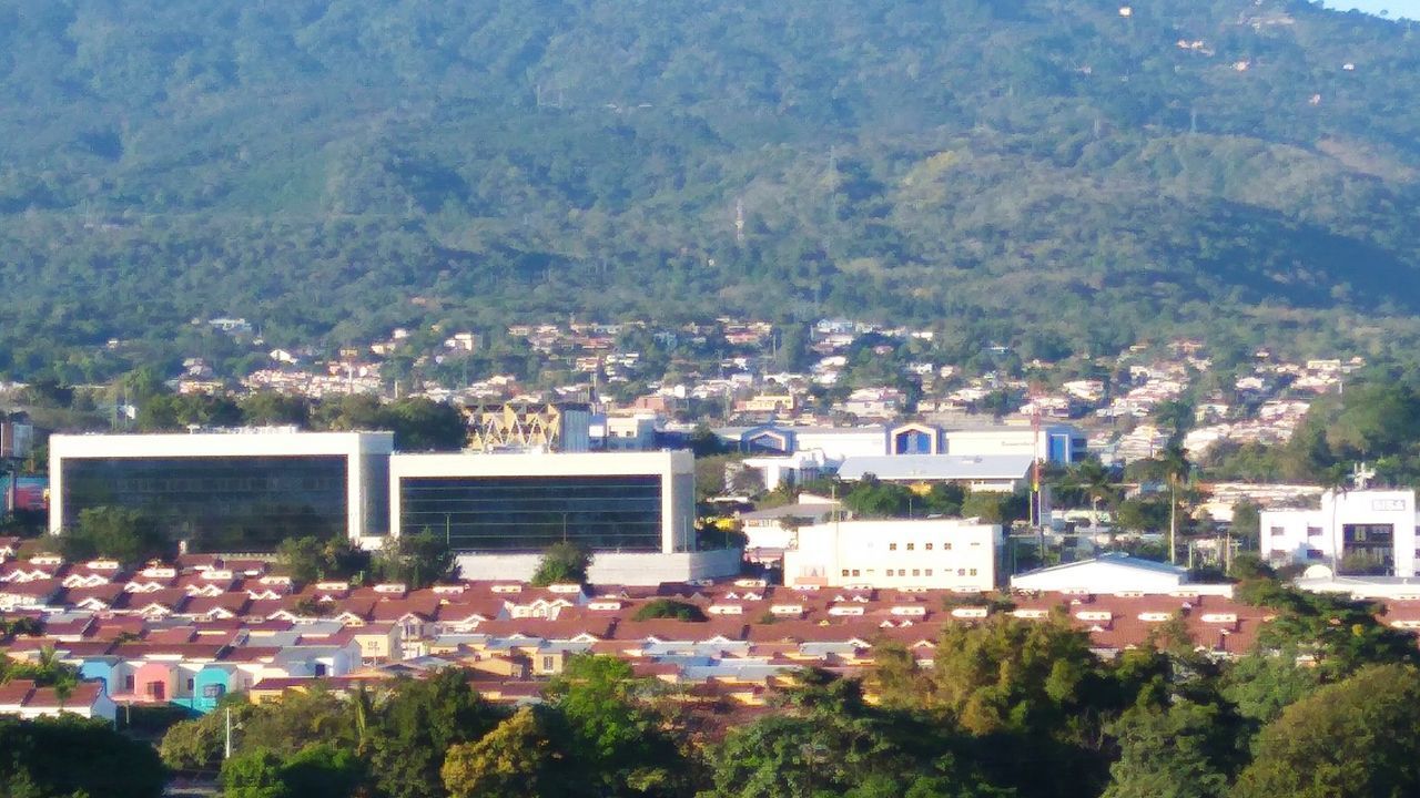 HIGH ANGLE VIEW OF TOWNSCAPE AND TREES