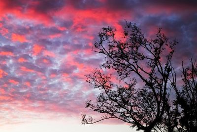Low angle view of silhouette tree against dramatic sky
