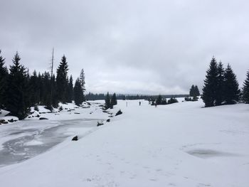 Snow covered land and trees against sky