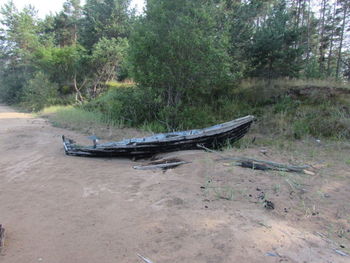 Boat moored in calm sea against trees