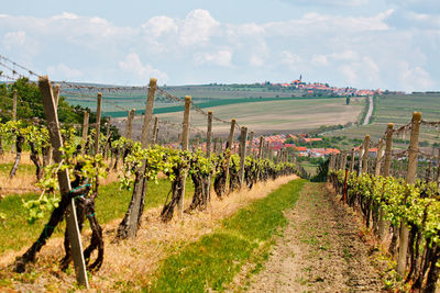 Scenic rural scene in czech republic