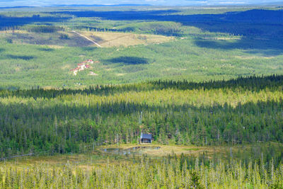 High angle view of agricultural field