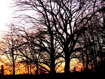 Silhouette bare trees against sky at sunset