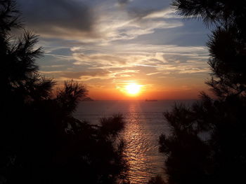 Scenic view of silhouette trees against sky during sunset