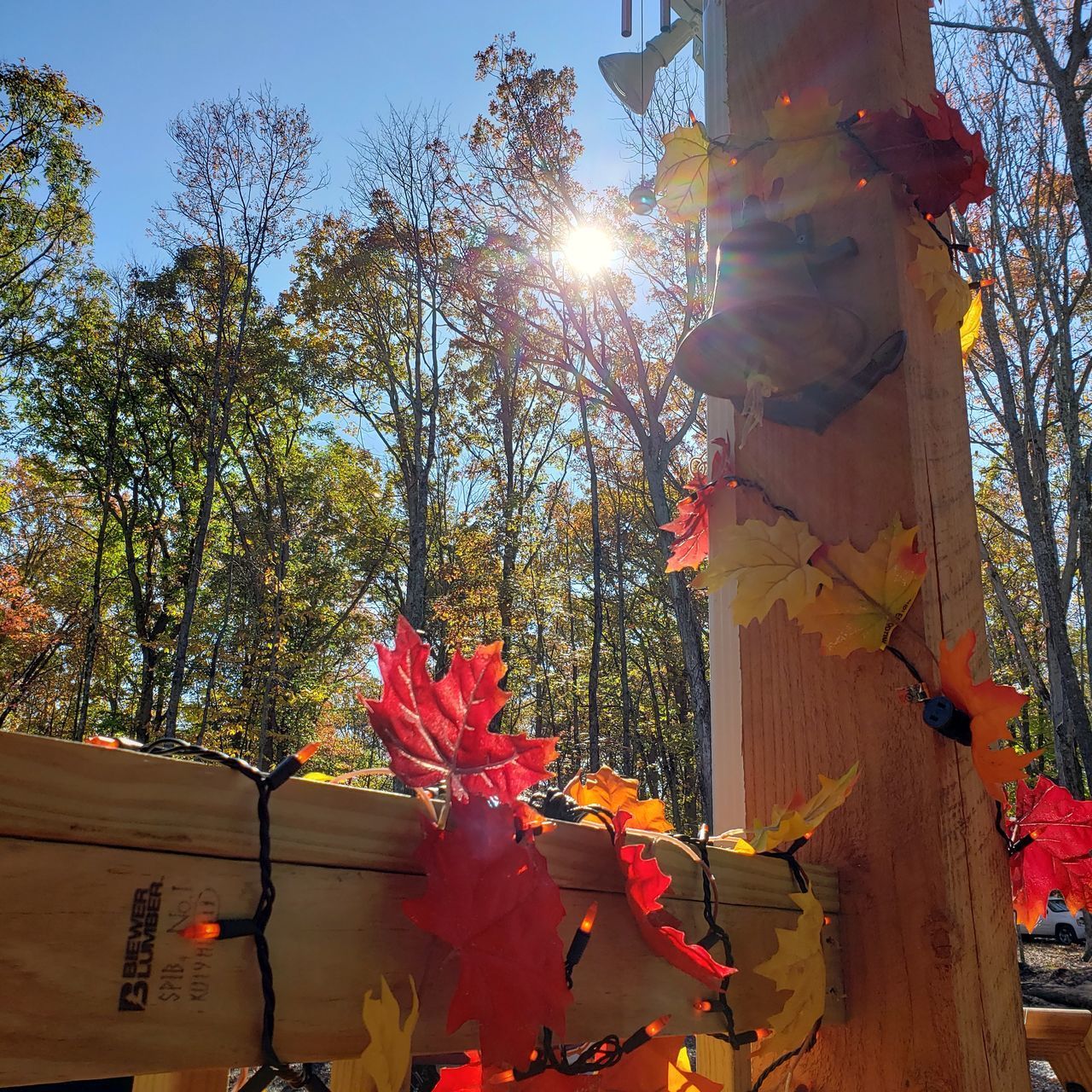 LOW ANGLE VIEW OF AUTUMN TREE AGAINST SKY