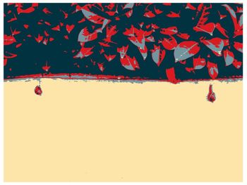 Low angle view of red wall