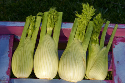 Close-up of vegetables for sale at market stall