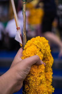 Cropped hand holding garland
