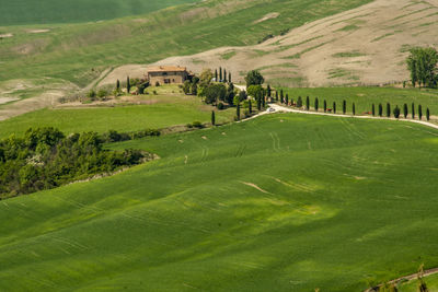 Scenic view of golf course