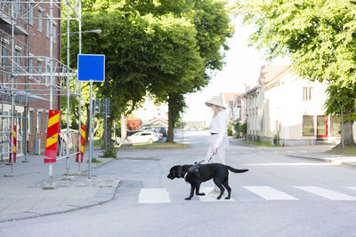 Woman walking with assistance dog